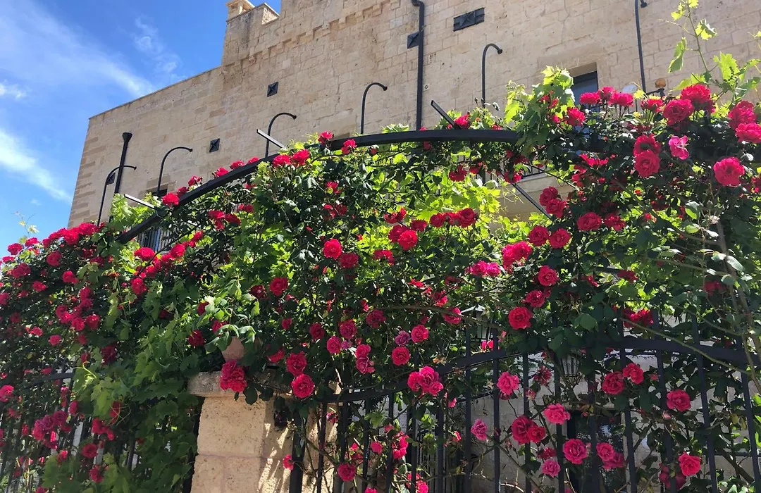 Masseria Antoglia-1